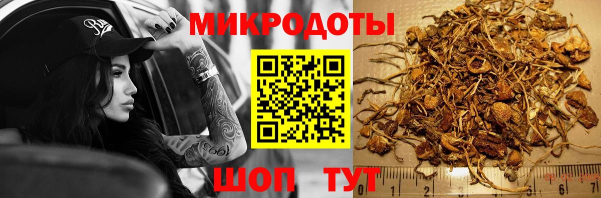 Псилоцибиновые грибы GOLDEN TEACHER Дербент